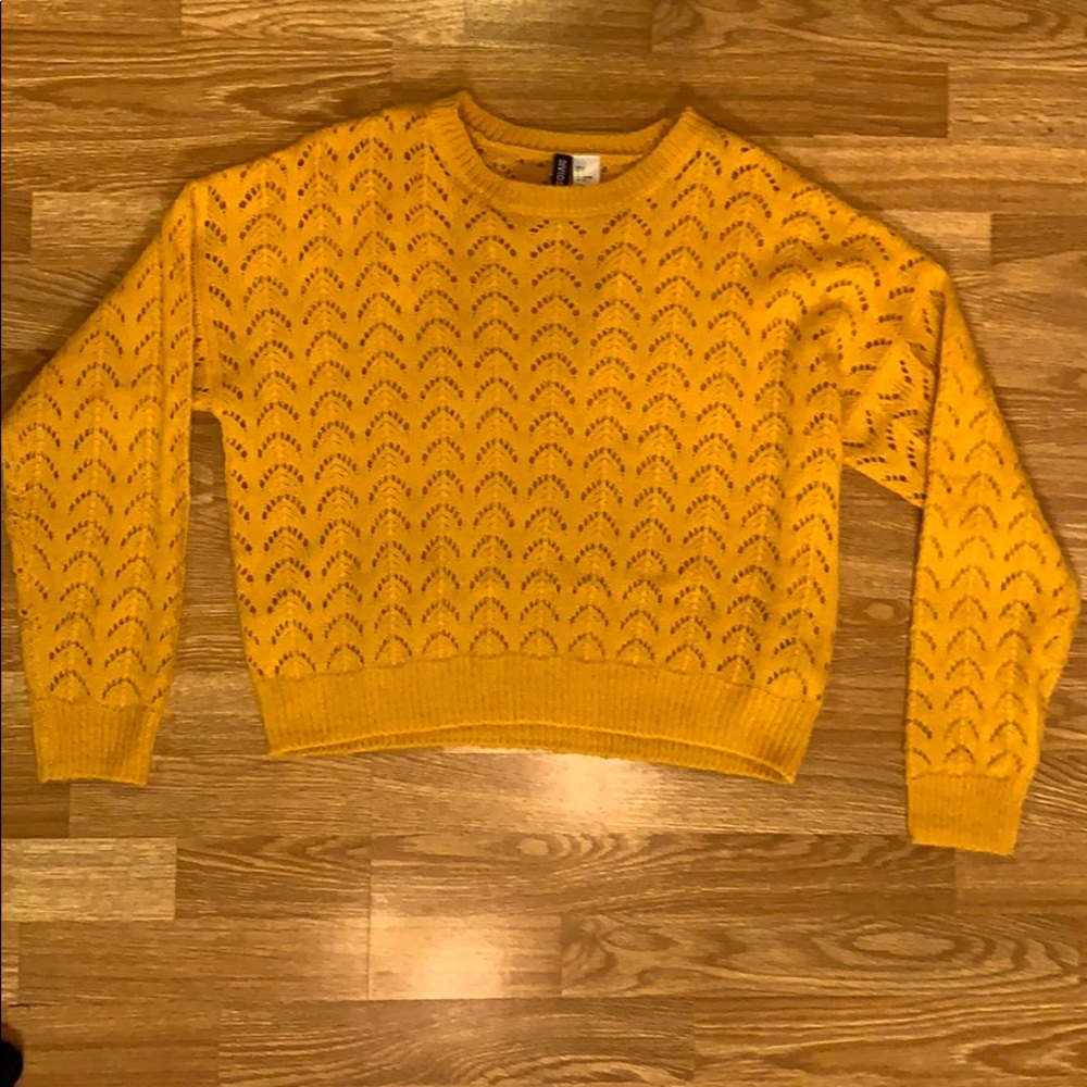 Sweater  (NWOT)
